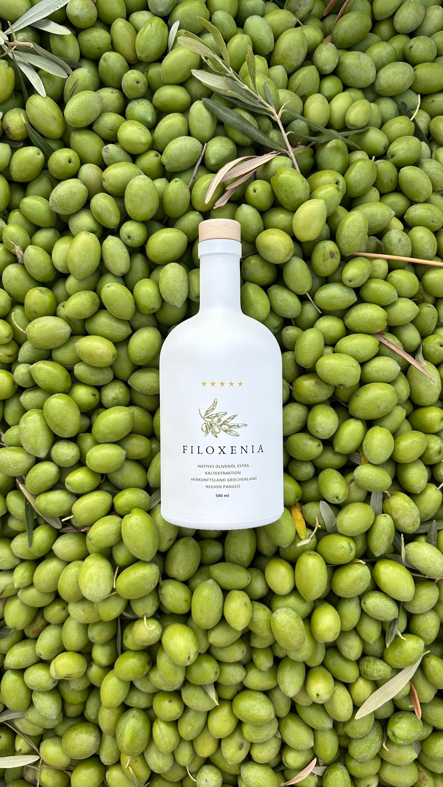 Filoxenia Premium Olivenöl 0,5L - Extra natives Olivenöl aus reifen Oliven (kaltgepresst)